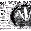 Badger_poster-thumb