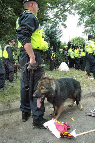 090815_d70_657-medium