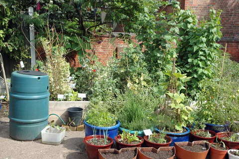 090808_d70_048_-medium