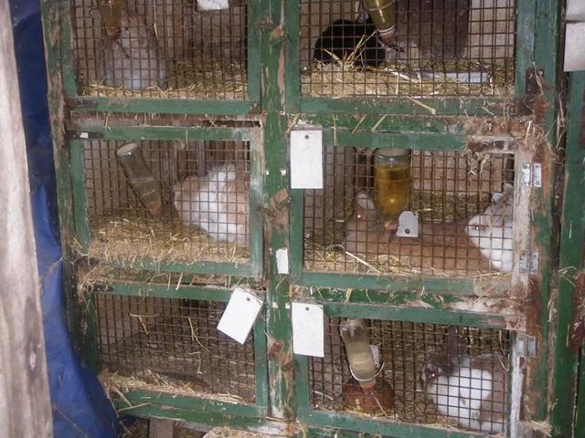 Hutches_outside-medium