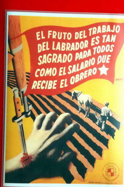 100720_d70_009-medium