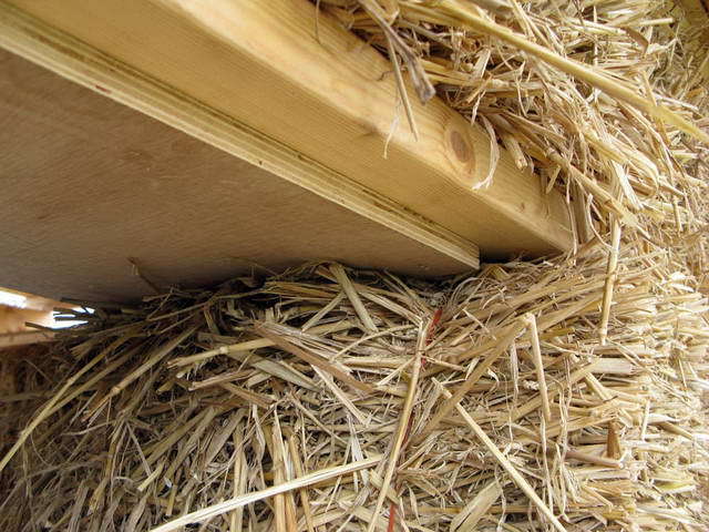 100726_g9_011-medium