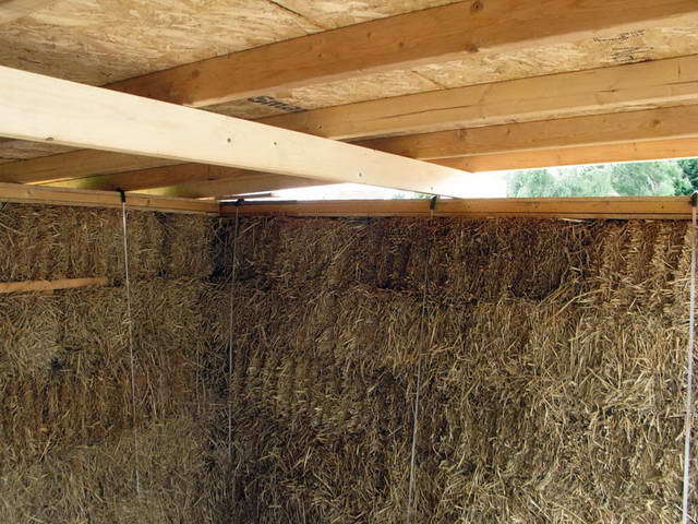 100726_g9_028-medium