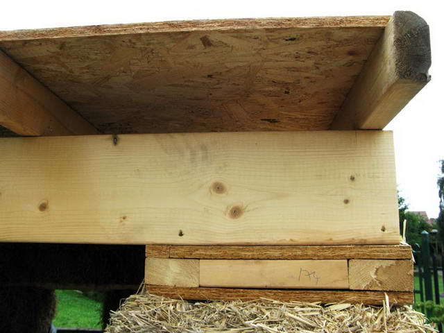 100726_g9_029-medium