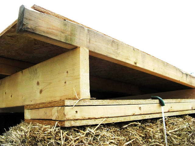 100726_g9_035-medium