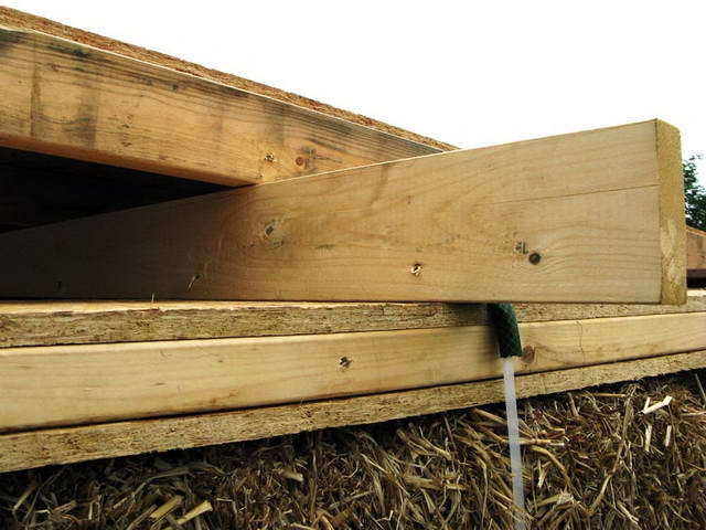 100726_g9_036-medium