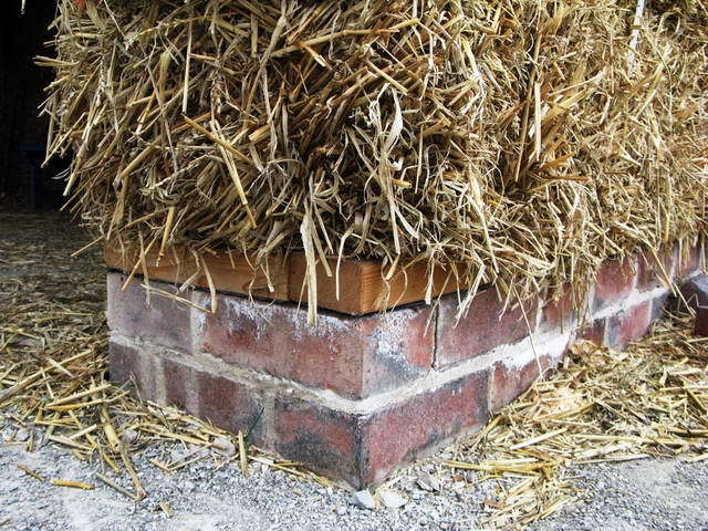 100726_g9_041-medium