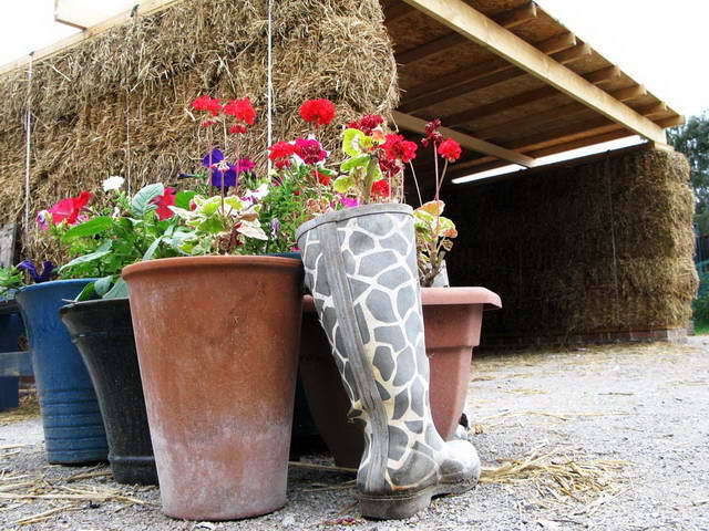 100726_g9_051-medium