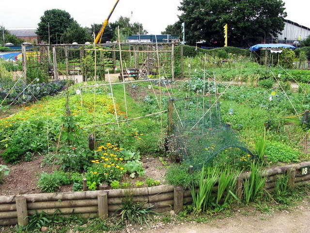 100726_g9_073-medium