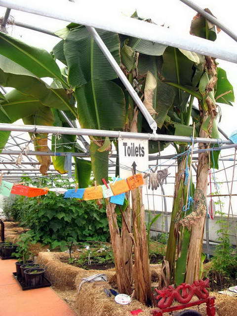 100726_g9_114-medium