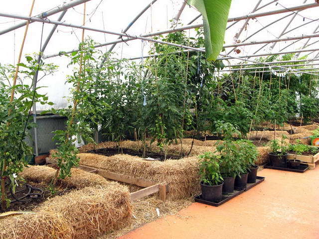 100726_g9_118-medium