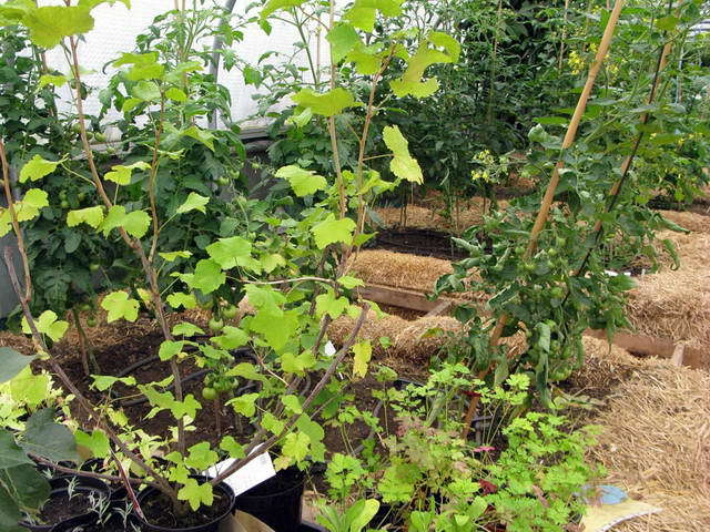 100726_g9_120-medium