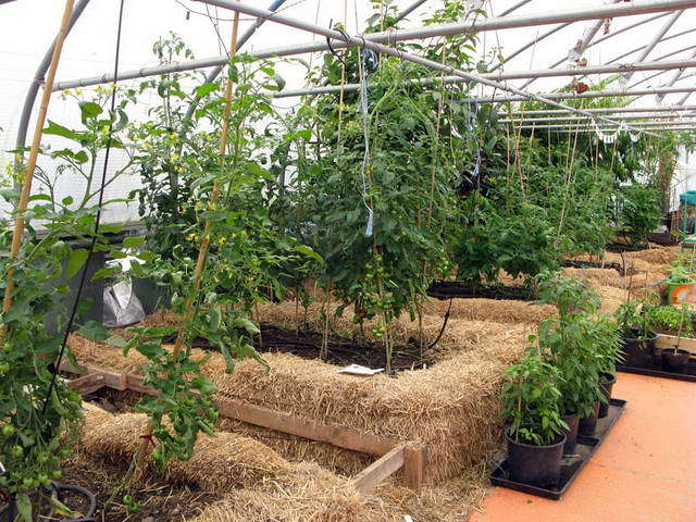 100726_g9_121-medium