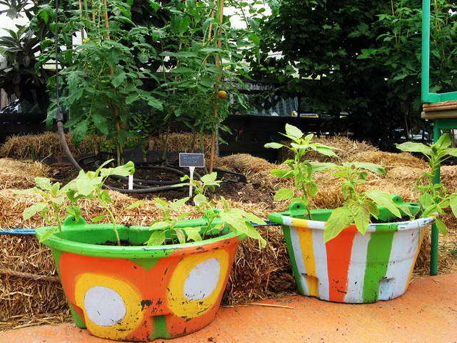 100726_g9_147-medium