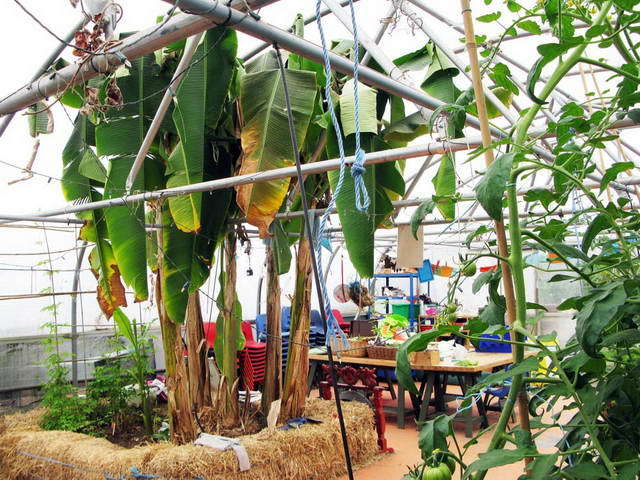 100726_g9_153-medium