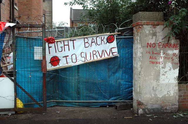 100825_d70_001-medium