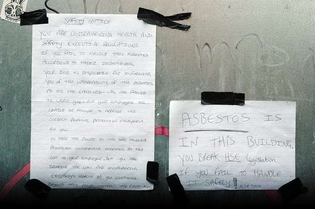 100825_d70_006-medium