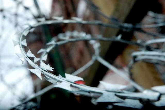 100906_d70_017-medium