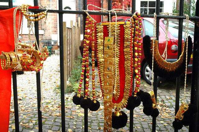 101009_d70_144-medium