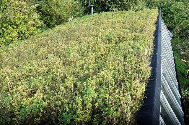 101007_d70_012-medium