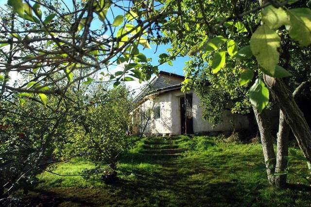 101007_d70_142-medium