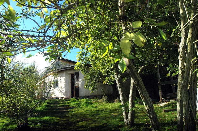 101007_d70_146-medium