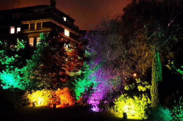 110218_d300s_129-medium