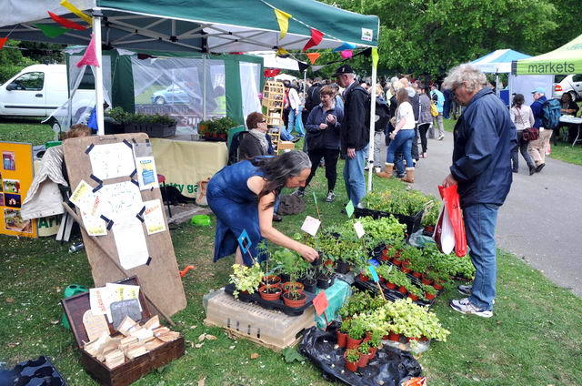 110522_d300s_046-medium