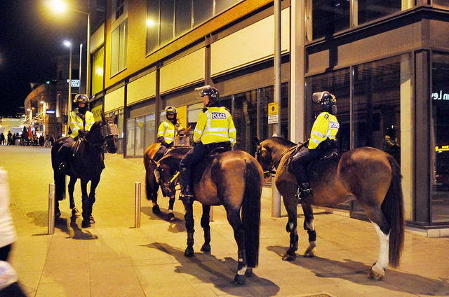 110809_d300s_207-medium