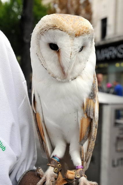 110814_d300s_028-medium