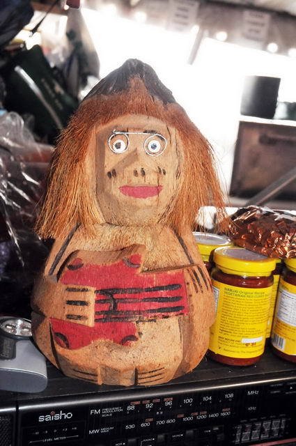 120105_d300s_016-medium