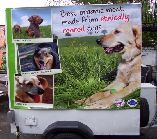 Dogtrailer540-medium