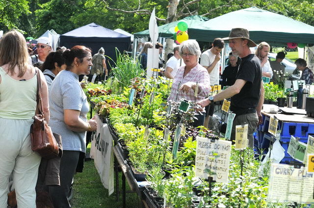 120610_d300s_059-medium