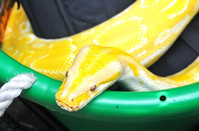 120610_d300s_080-medium