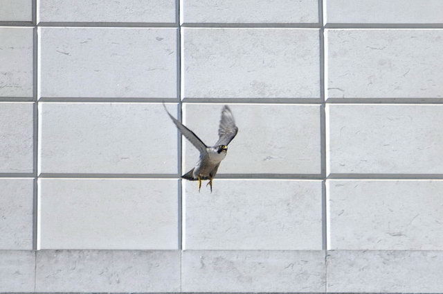 120525_d300s_006-medium