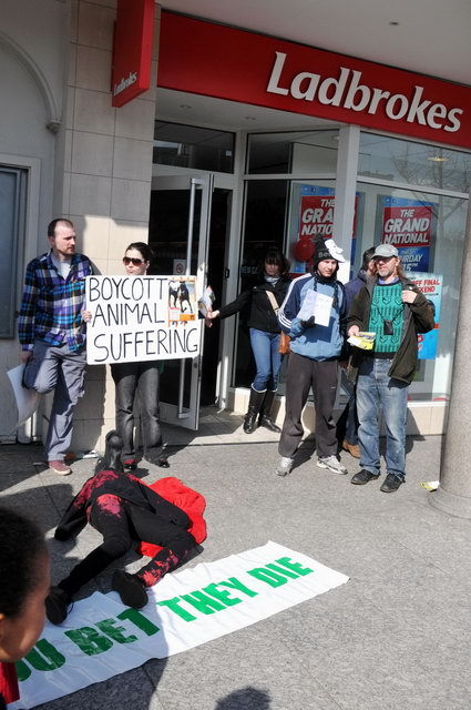 130406_d300s_029-medium