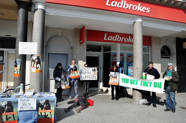 130406_d300s_035-medium