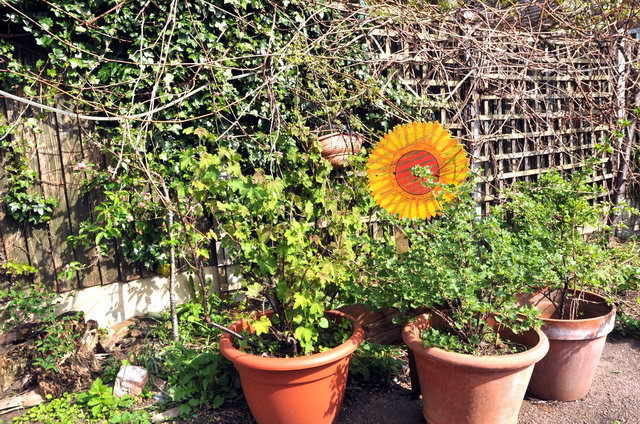 130502_d300s_014-medium