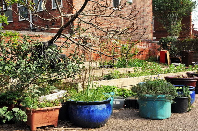 130502_d300s_033-medium