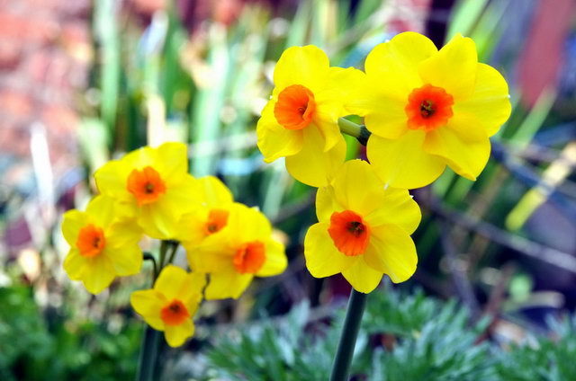 130502_d300s_039-medium