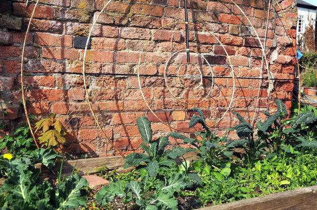 130502_d300s_043-medium