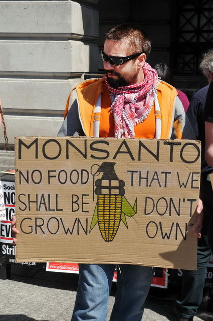 130525_d300s_019-medium