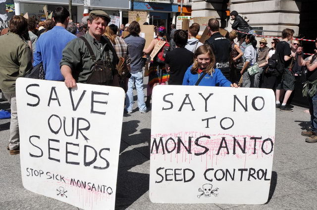 130525_d300s_086-medium