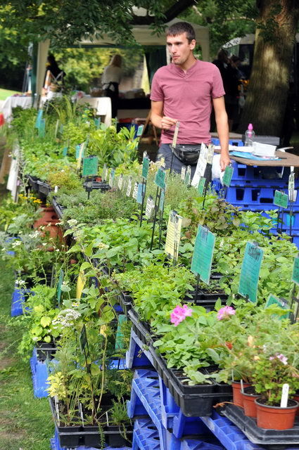 130901_d300s_094-medium