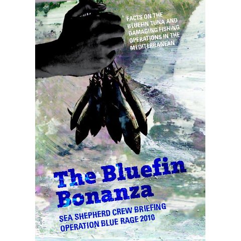 Bluefin_bonanza_2_